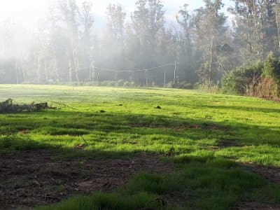 Rincón del Indio | Terreno #4732 Terreno en Rincón del Indio , completamente parquizado, por lo que está en óptimas cond