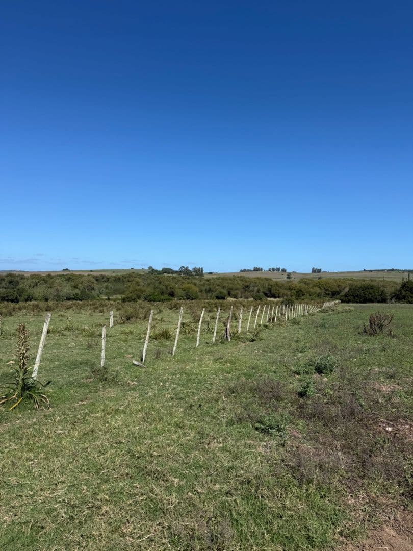 Terreno em Pueblo Edén