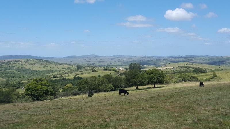 Sierra de Carapé 270ha con Excelente Casco Histórico