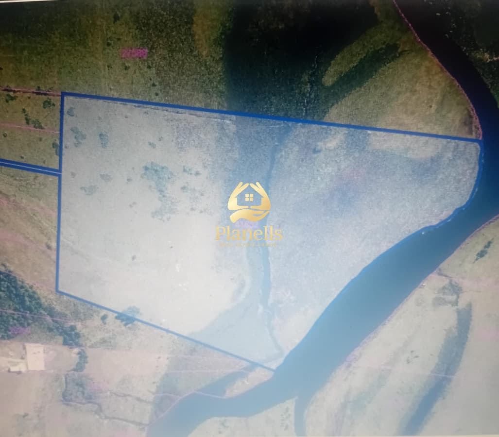 Venta campo 37 Ha en San Carlos