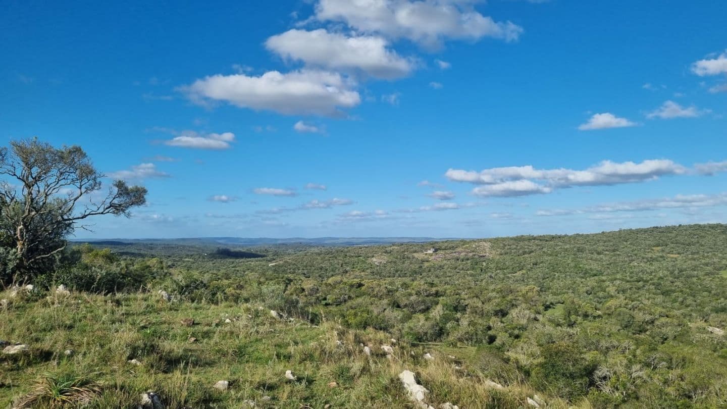 Campo en Aigua
