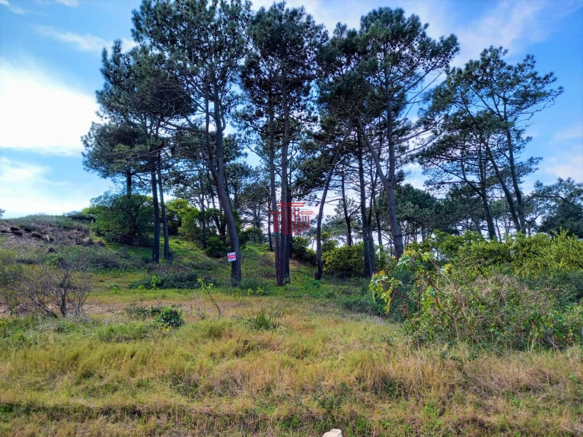 Terreno En Venta, Punta Del Este Rincon del Indio Uruguay